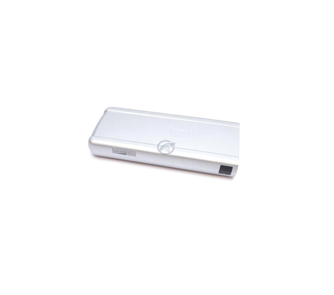 Batterie de vélo Sparta Batavus B400 36V 11Ah argent