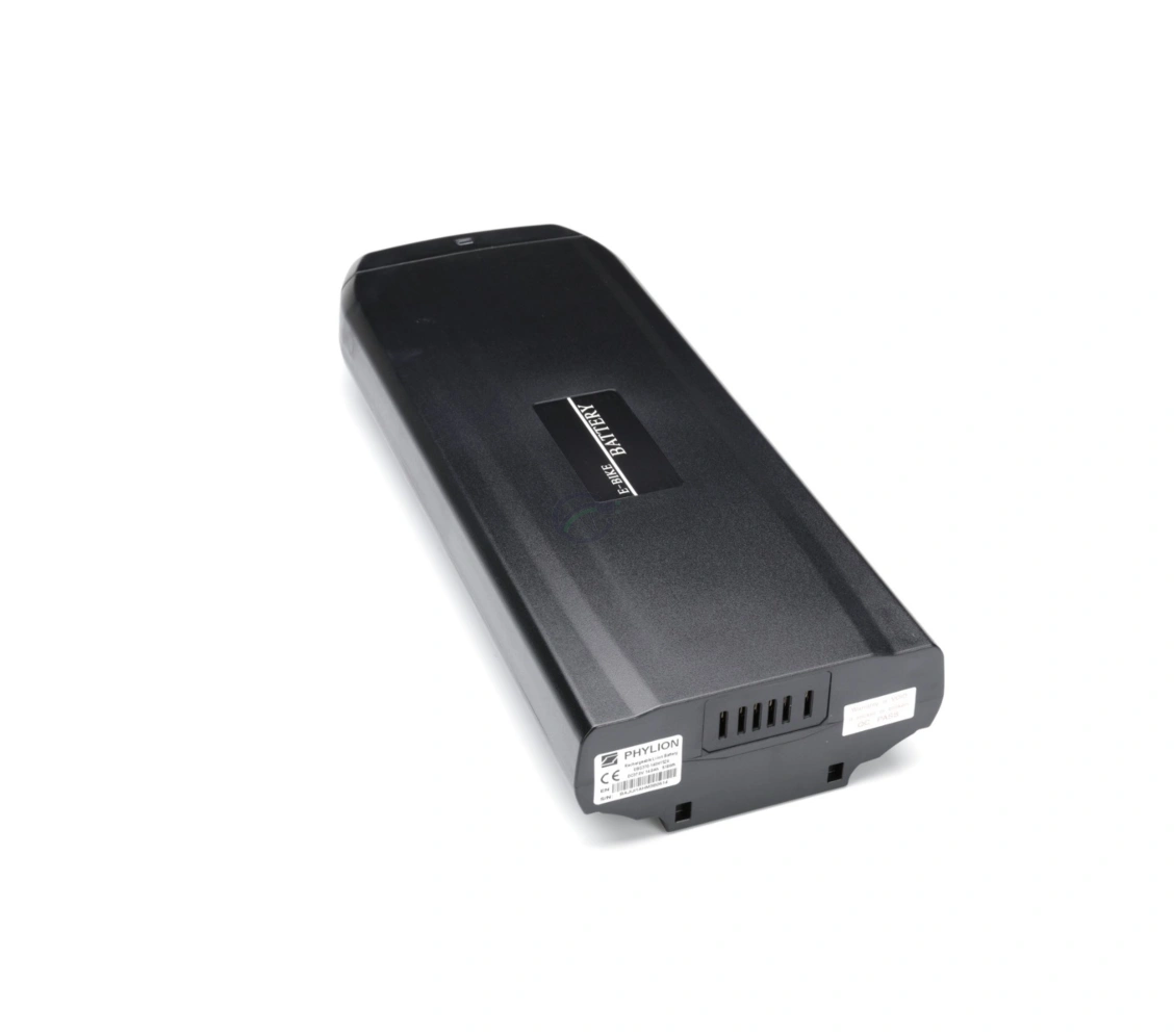 Phylion XH370 11J Wall ES SMART 37V 11Ah chargeur inclus – Image 4
