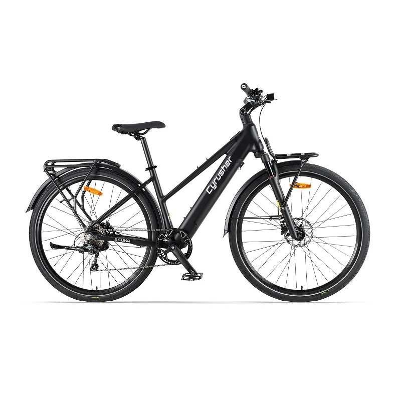 Vélo assistance électrique Cyrusher voyage – Image 6