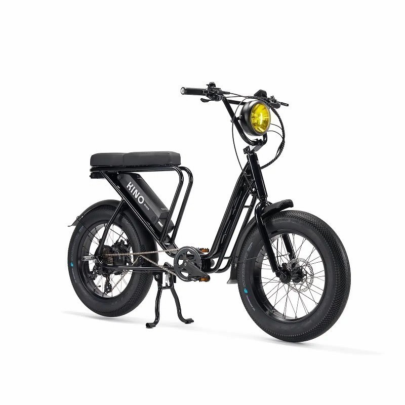 Vélo cargo électrique le Bolide