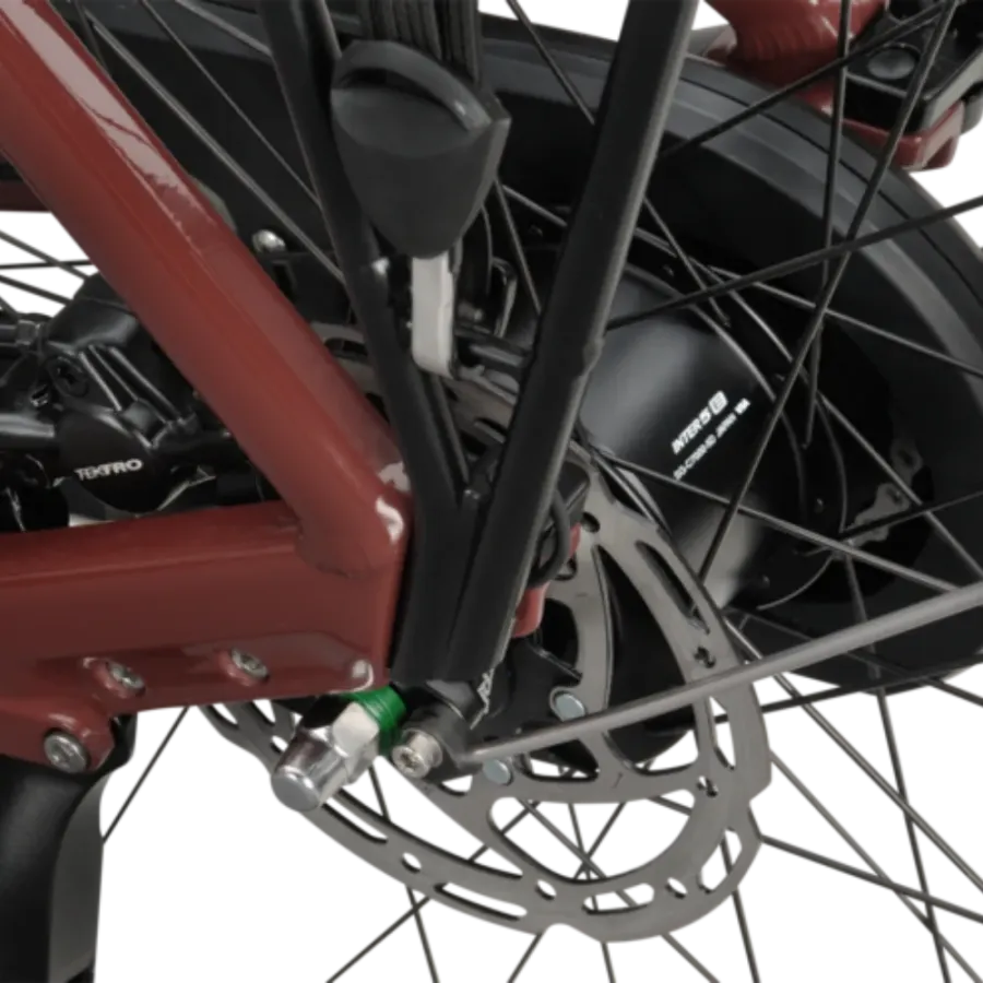 Vélo électrique Batavus Altura E-Go Power Pro – Image 3