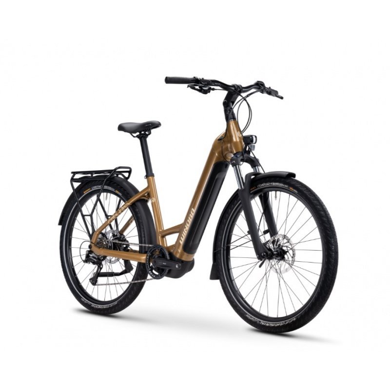 Vélo électrique Winora Yucatan X8 low 2024 – Image 9