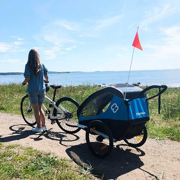 Hamax Traveller Bike Trailer for 2 Kids, incl. drawbar and buggy wheel - petrol blue/grey – Image 2