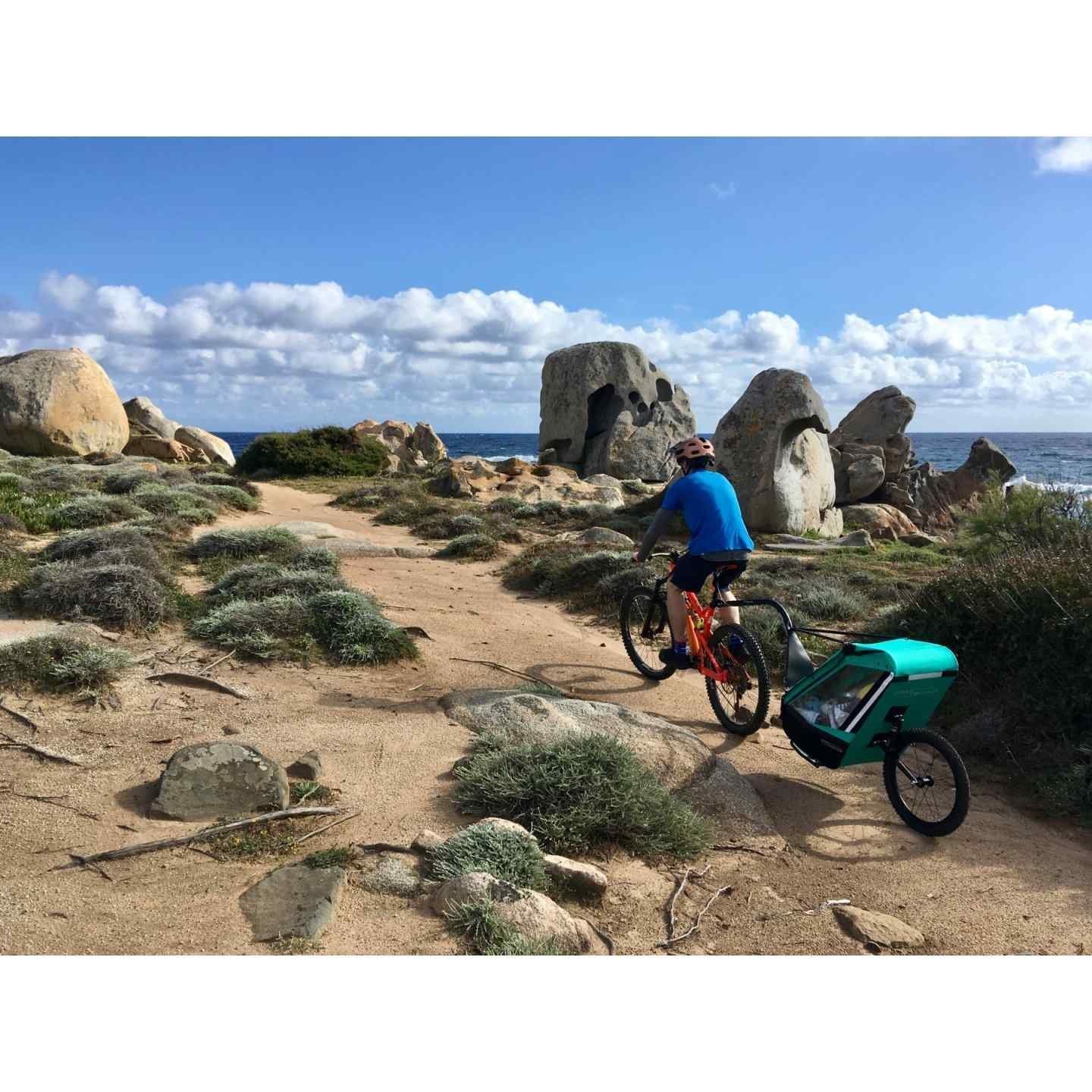 Remorque vélo charge 200 kg - Singletrailer II Sport - caribbean green – Image 11