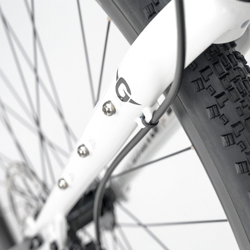 Vélo gravel Genesis Croix de Fer 10 – Image 3